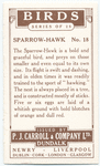 Sparrow-Hawk.