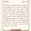 Kite.