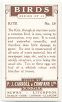 Kite.