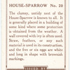House-Sparrow.