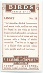 Linnet.