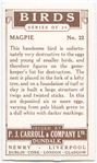 Magpie.