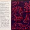 The Origins of Christian Supernaturalism.