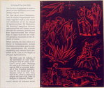 The Origins of Christian Supernaturalism.