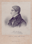 Ole B. Bull