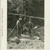 Crude drilling with a spring pole.