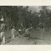 Constructing pipe line through jungle.