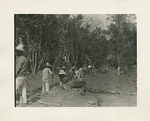 Constructing pipe line through jungle.