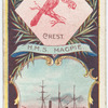 H.M.S. Magpie. 1st Class Gunboat (1889).