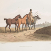The horse dealer, Frontispiece