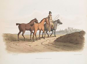 The costume of Yorkshire, illustrated by a series of forty engravings, being fac-similes of original drawings