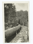 52" pipe line in the Yosemite Valley, Calif., about 6000 feet long. Conveys water to power house on the Merced River. 2000 K.W. plant.