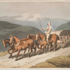 The east riding, or wolds waggon