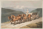 The east riding, or wolds waggon