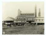Louisiana sugar factory