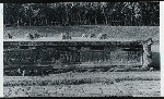 Java, East: Antiquities. Panataran, candi