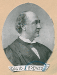 David J. Brewer