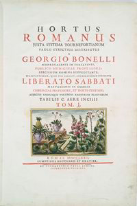 Hortus Romanus juxta systems Tournefortianum paulo