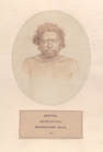 Index