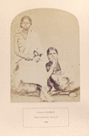 Irula women, Neelgerry Hills.