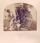 Grass cutters, Hindoos, Madras.