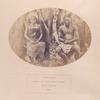 Purrikhet, Chief of the Kooki tribe, Chittagong. (Assam)