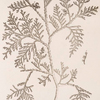 The tree of life.
