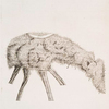 The scythian lamb.