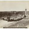 Shepherd and sheep