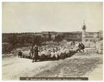 Shepherd and sheep