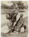 Water carrier