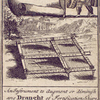 Knave of diamonds:  Parrallellogram.