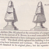 Two obelisks (No. 21) placed at the extremities of a magnificent façade in the Convent of S. Bruno...
