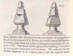 Two obelisks (No. 21) placed at the extremities of a magnificent façade in the Convent of S. Bruno...