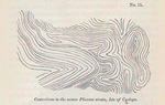 No. 15.  Contortions in the newer Pliocenen strata, Isle of Cyclops.