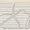 No. 25.  Dikes or veins at the Punto del Nasone on Somma.