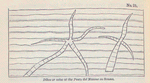 No. 25.  Dikes or veins at the Punto del Nasone on Somma.