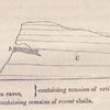 No. 26.  Diagram showing the superposition of alluvium and cave deposits containing eztinct quadrupeds to a limestone containing recent shells.