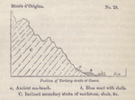 No. 28.  Position of Tertiary strata at Genoa.