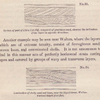 No. 33.  Section of part of Little Cat cliff, composed of quartzose sand, showing the inclination of thye layers in opposite directions. ; No. 34  Lamination of shelly sand and loam, near the Signal-house, Walton.  Vertical height four feet.