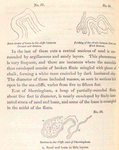 No. 37.  Bent strata of loam in the cliffs between Cromer and Runton. ; No. 38.  Flding of the strata between East and West Runton. ; No. 39.  Section in the Cliffs east of Sherringham