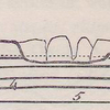 No. 69.  Sections illustrating the gradual denudation of the Weald Valley.