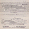 No. 78.  Valley of Kingsclere. ; No. 79.  Section across the Valley of Kingsclere from north to south.