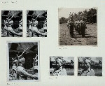 Mogaele (cont.) 