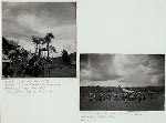 Departure of bier from ranté. Sa'adan Toradja Ma'peliang procession, Kondongan (near Rantepeo) ; Procession with the bier in a rice field