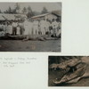 Crocodile captured in Sibolga, Sumatra