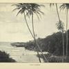 Coast scenery.