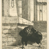 Le corbeau.