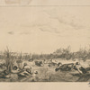 L'étang [deuxième planche].