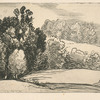 Sur la gauche, un massif d'arbres...